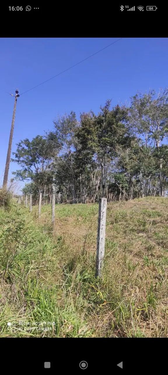 Área verde de 3 hectares - Foto 4