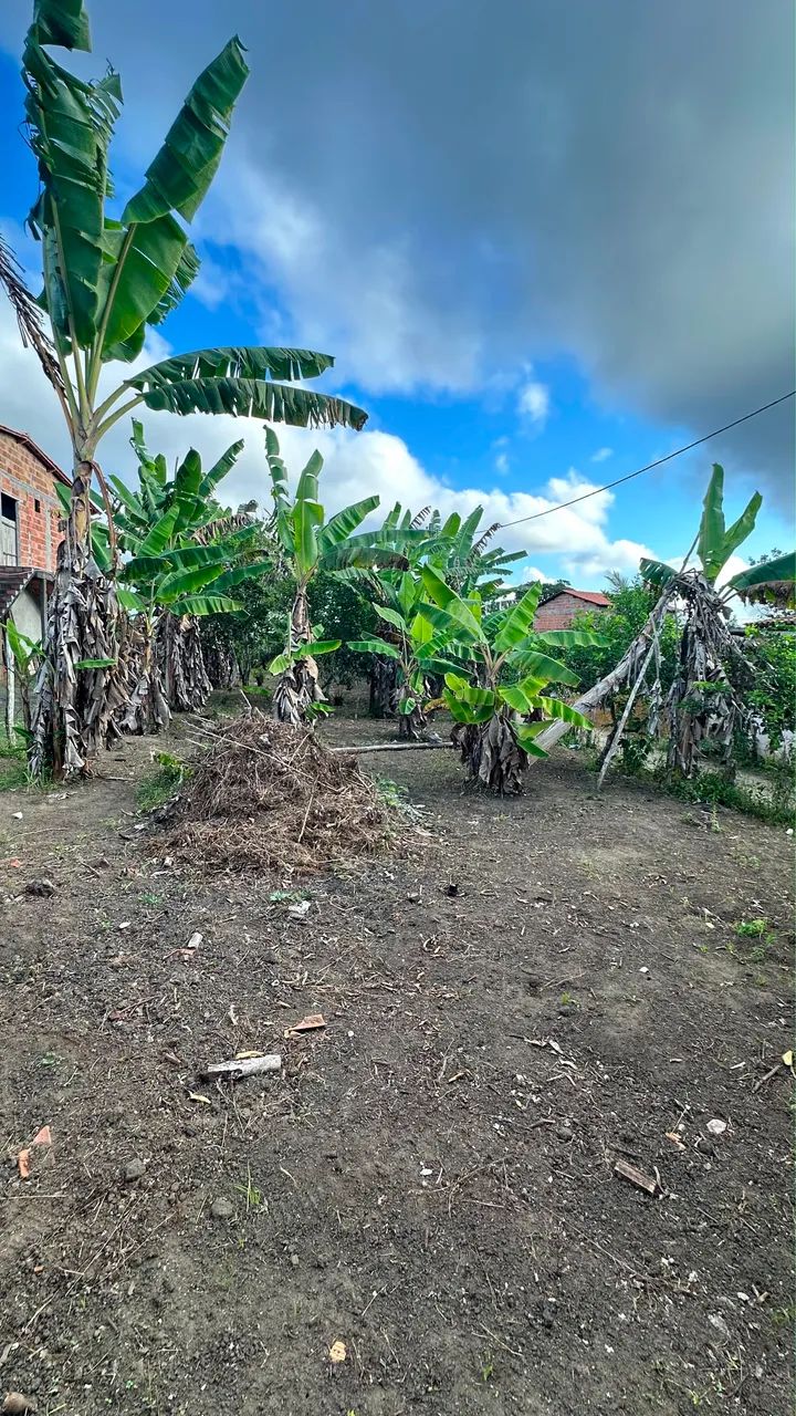 Terreno a venda - Povoado Bomfim - Foto 3
