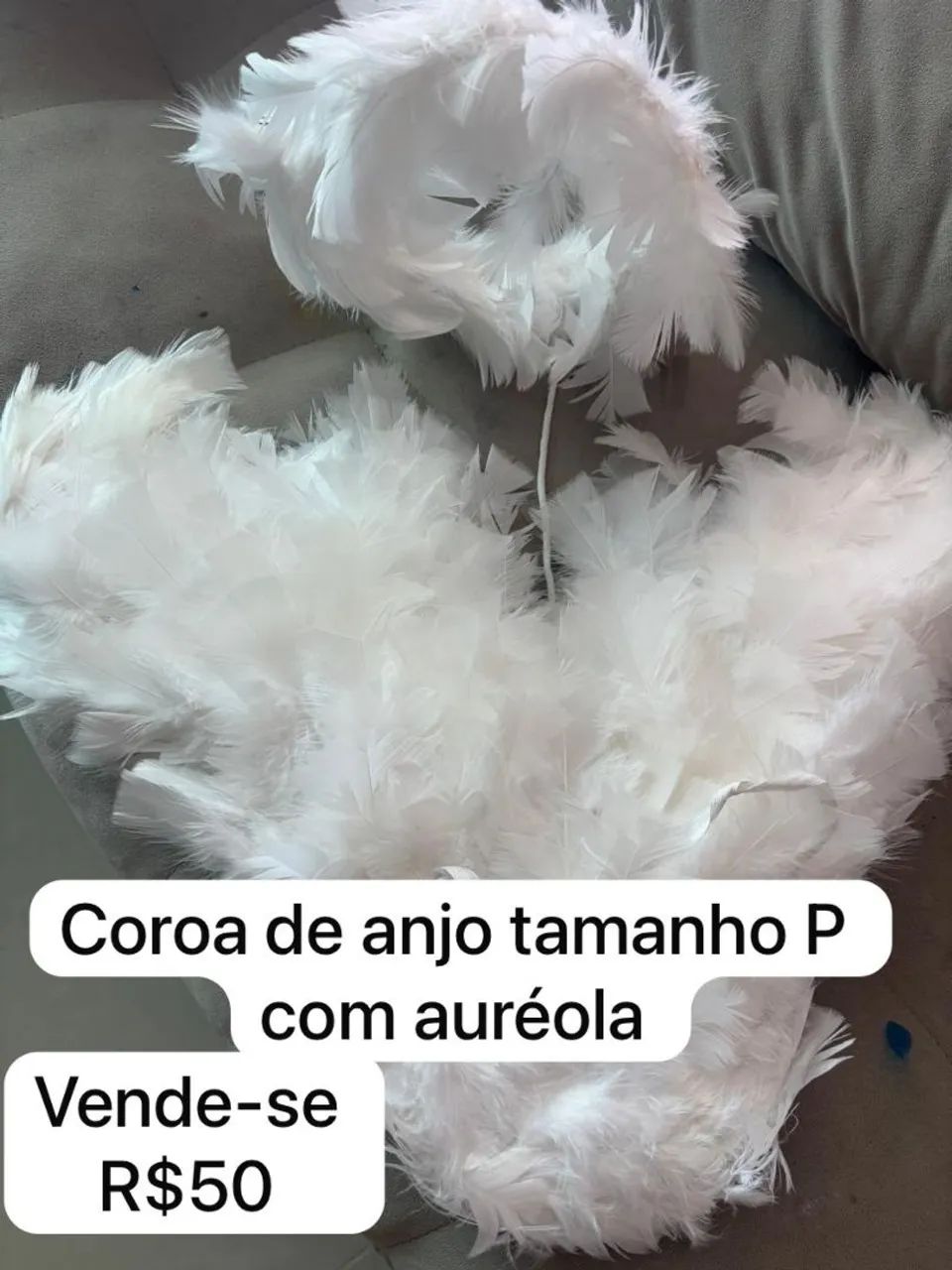 coroa de anjo