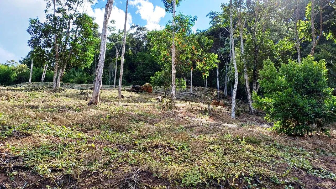 Lote / Terreno à venda em Marechal Floriano - Foto 5