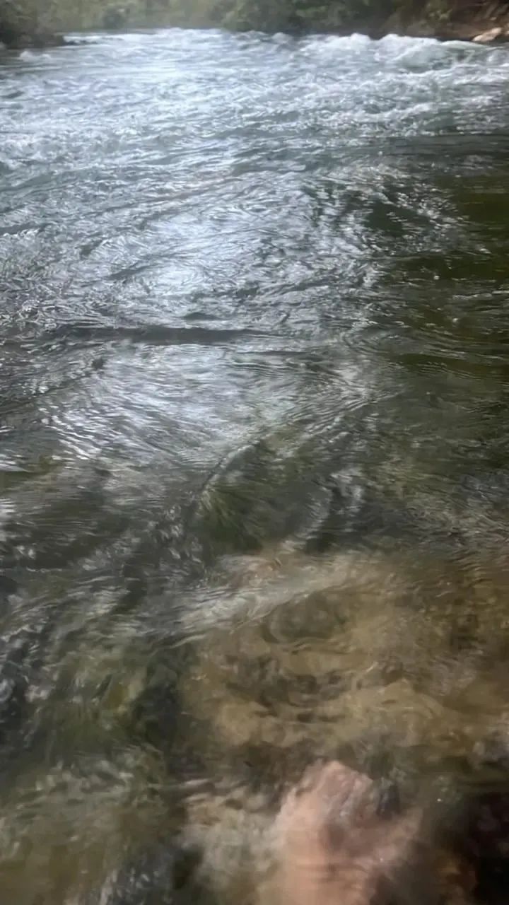 Fazenda - Novo Jardim (TO) - Foto 4