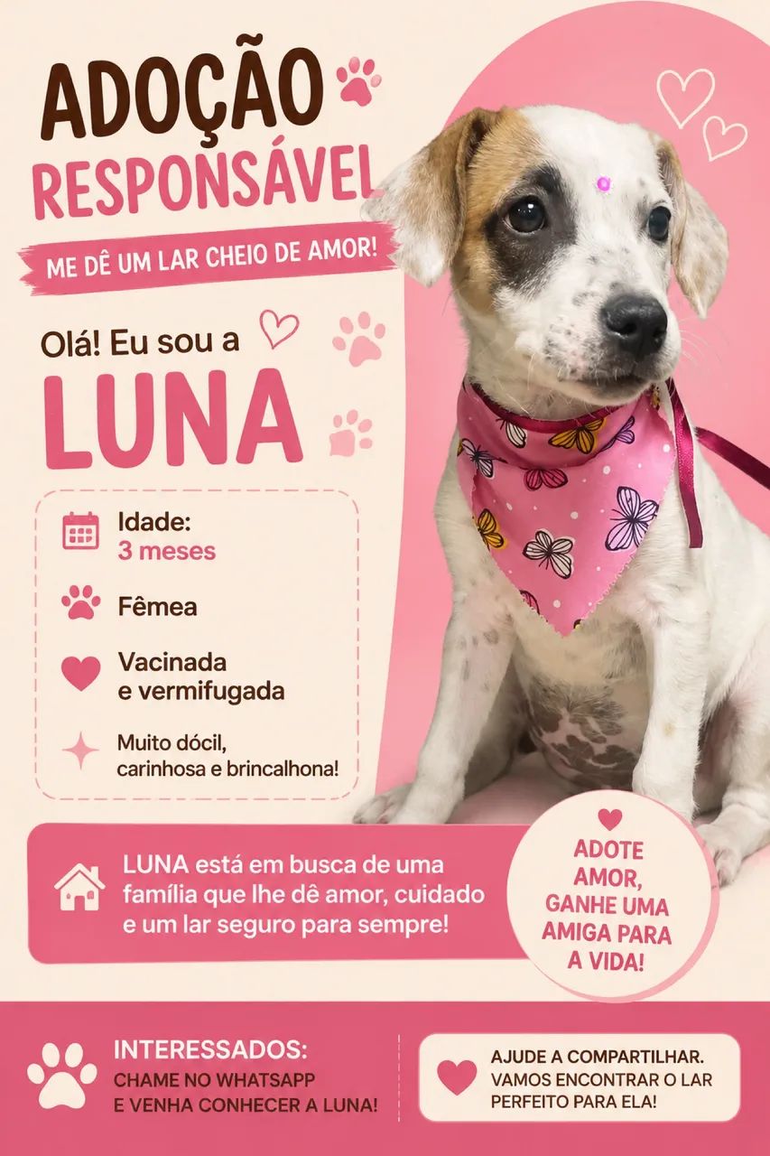 Doação responsável