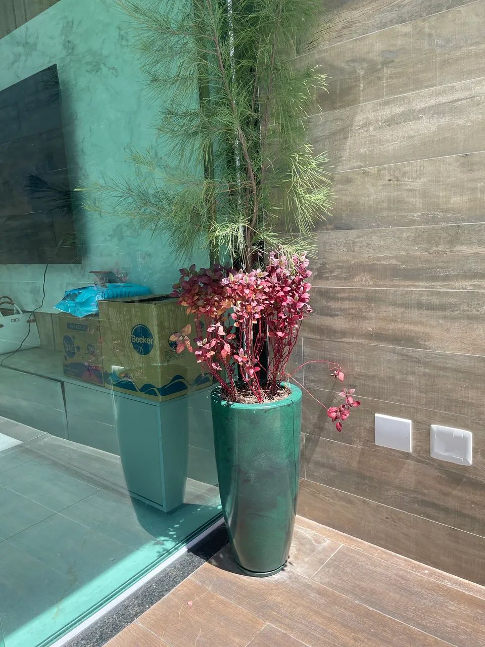 Vaso com planta - Foto 3
