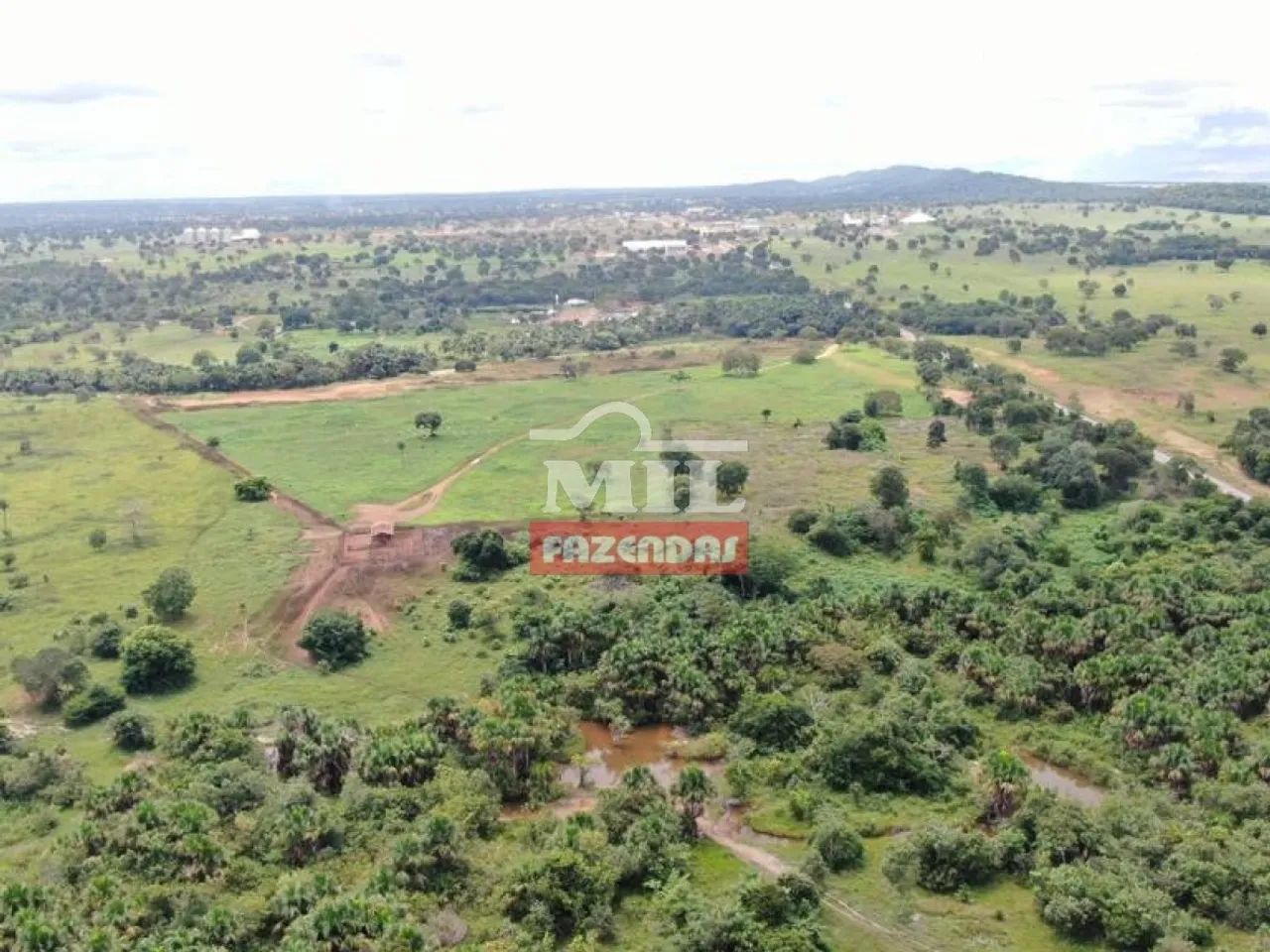 Fazenda de 42 alqueires (204 hectares) em Nova Crixas - GO, - Foto 5