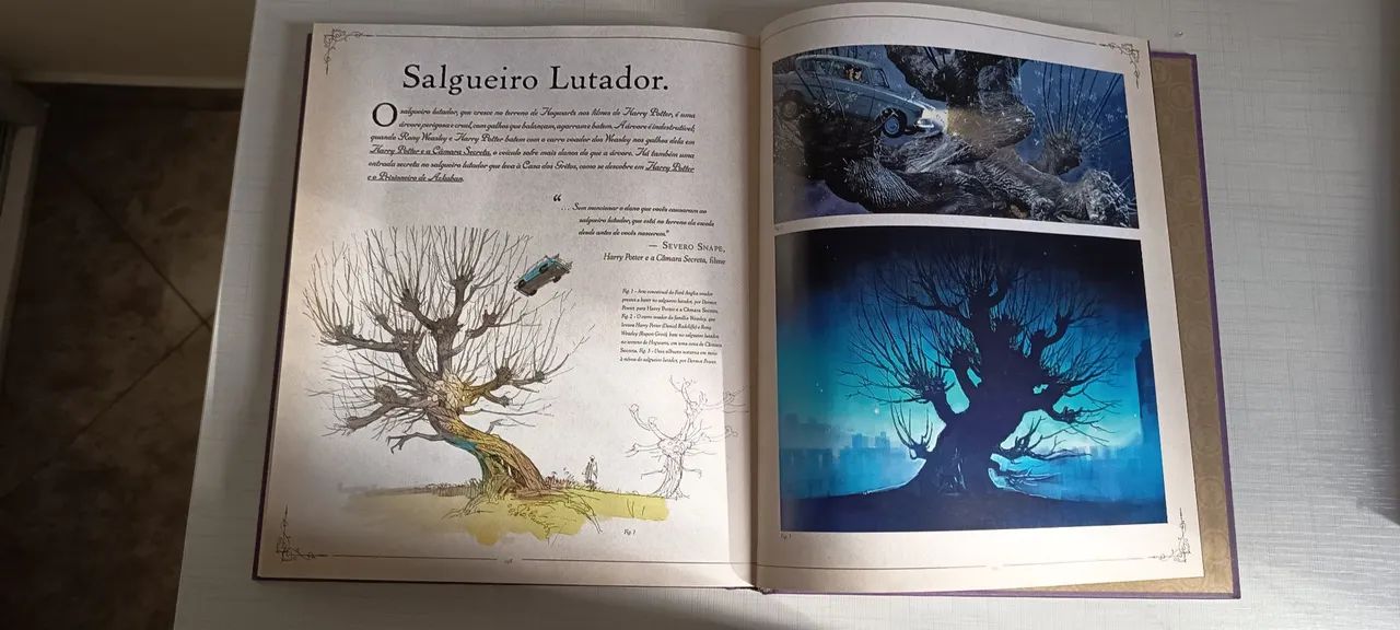 Livro das criaturas de Harry Potter  - Foto 5