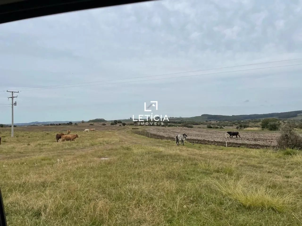 Campo de Pecuária!!! - Foto 2