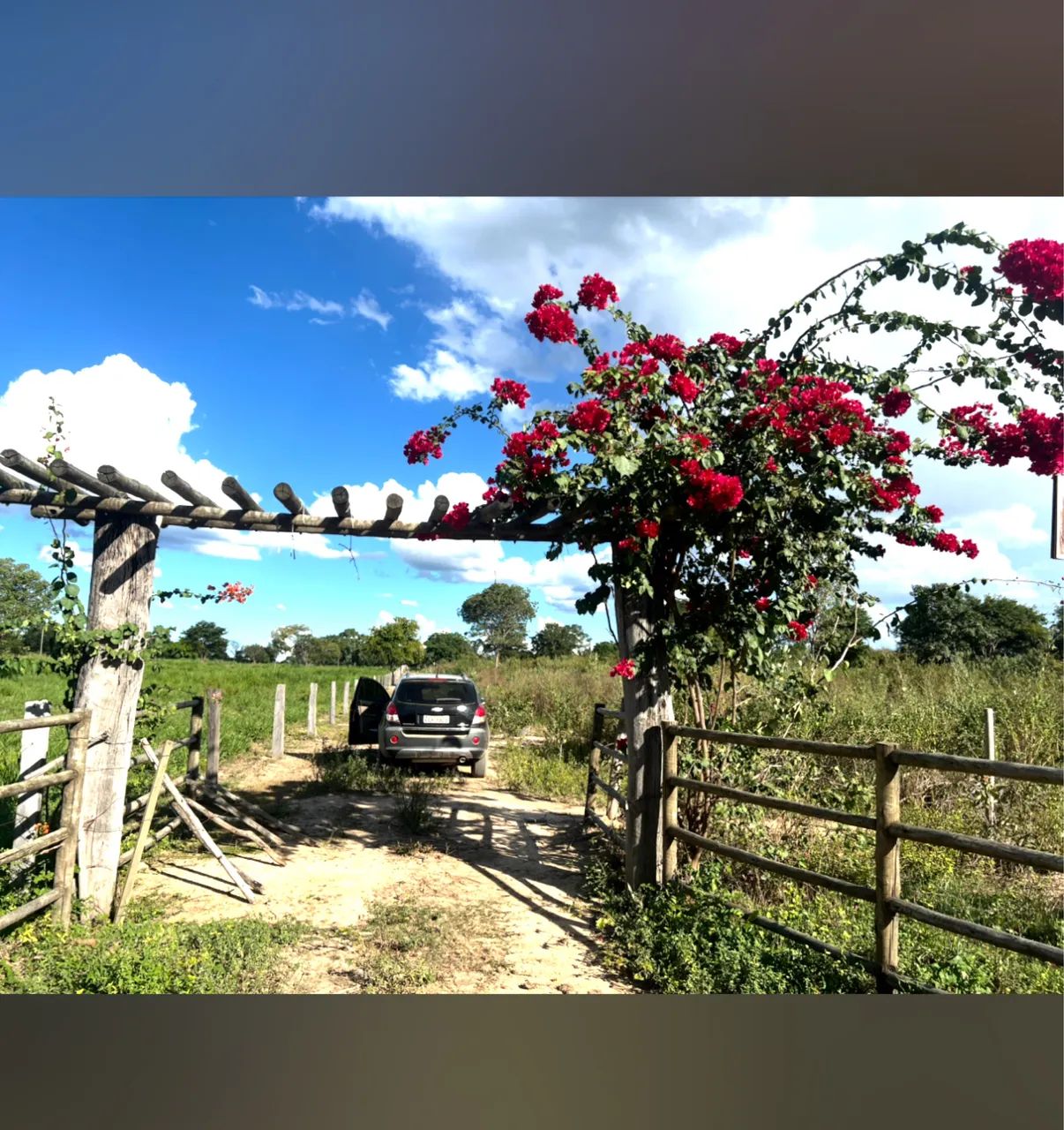 Foto - Januária - 