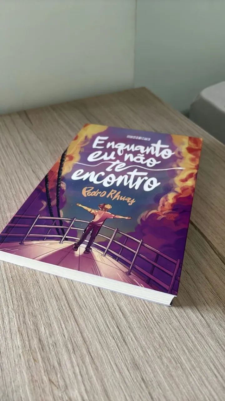 Livro - Enquanto eu não te encontro