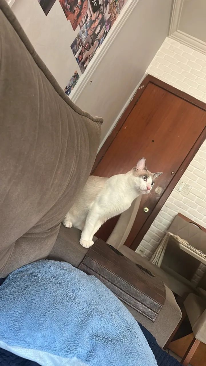 Doação  - Foto 5