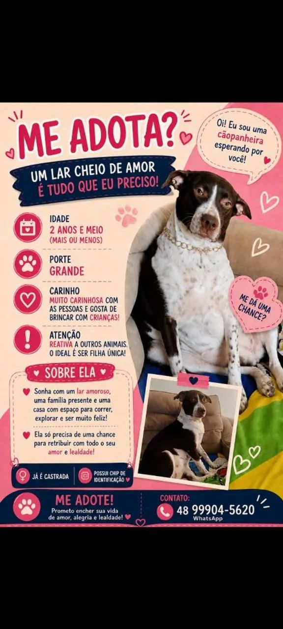 Adoção responsável  - Foto 2