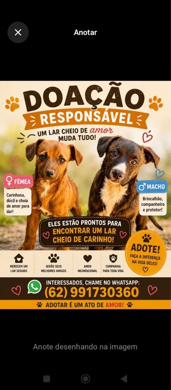 Doação 