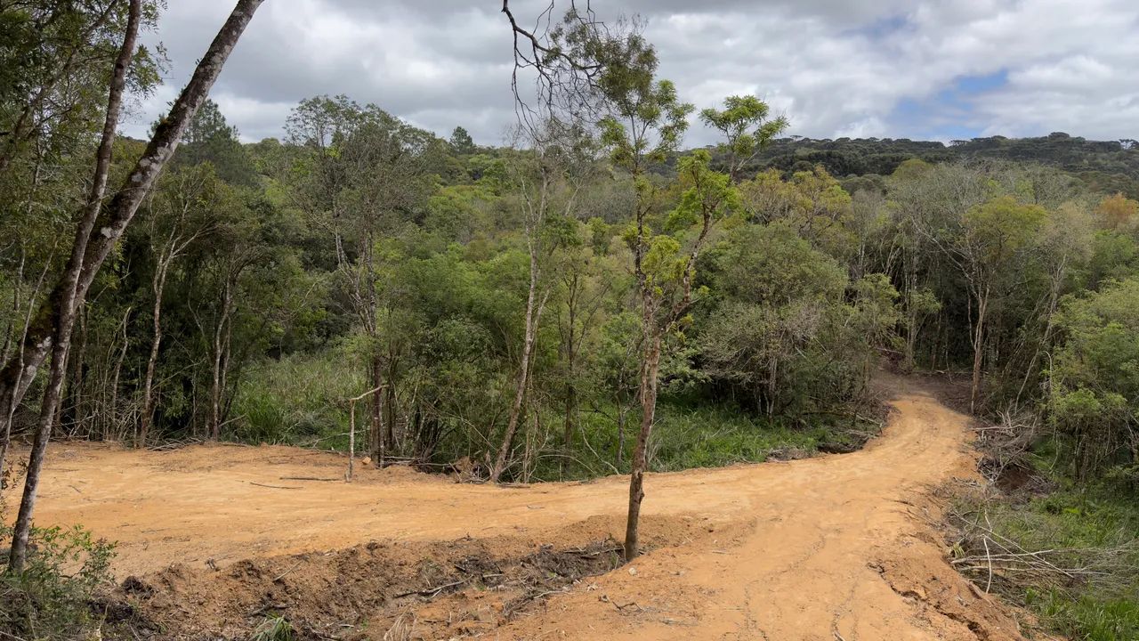 Foto - Campina Grande do Sul - 