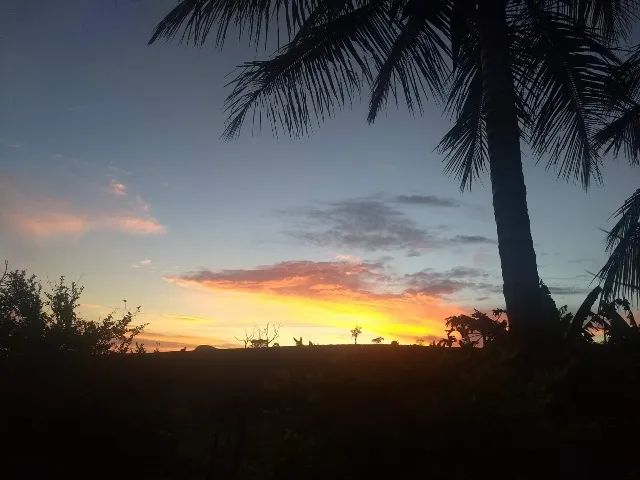 FAZENDA PARA CAFÉ NO SUL DE MINAS - Foto 4