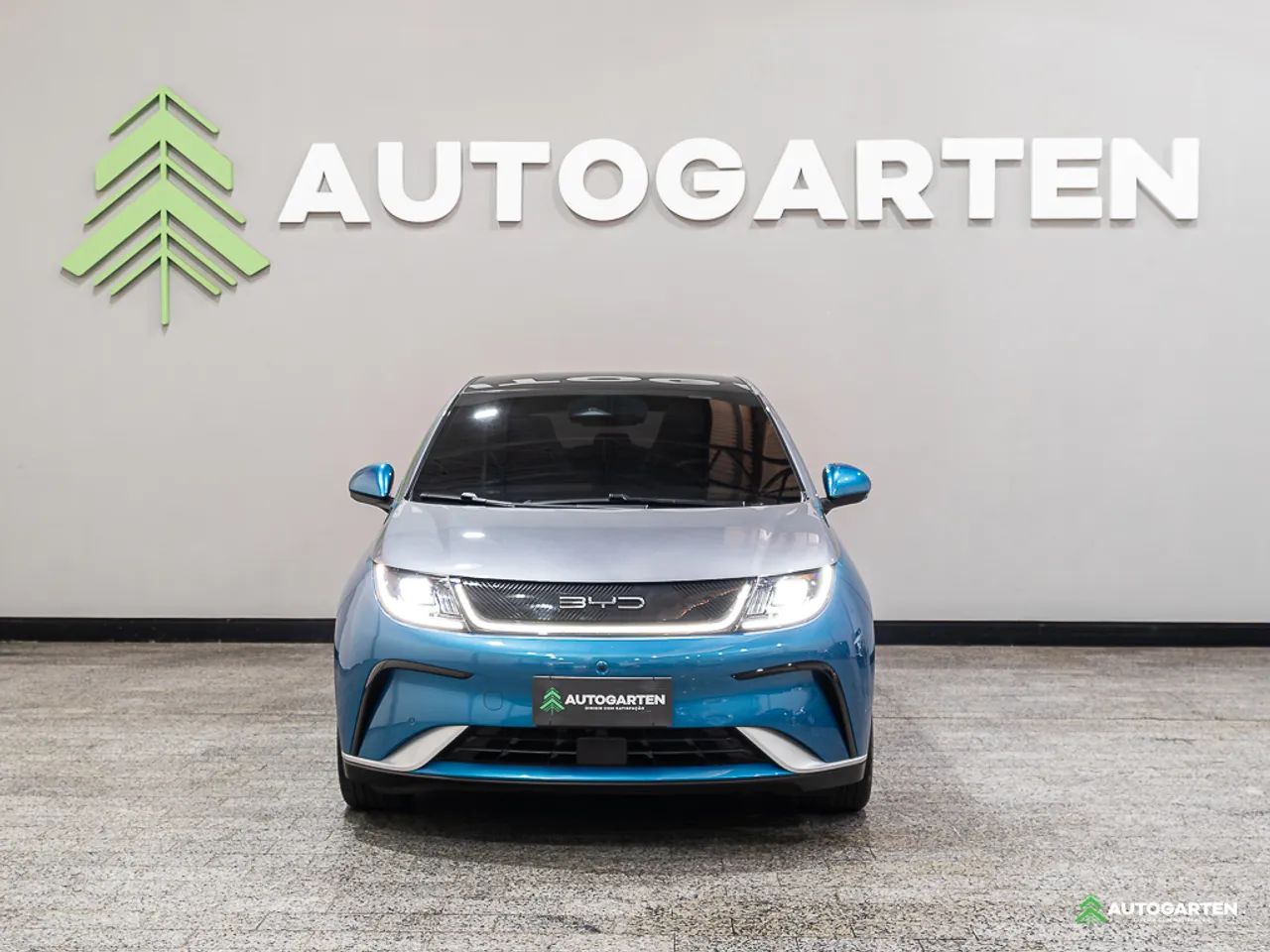 BYD Dolphin Plus (Elétrico) 2025 - Foto 2