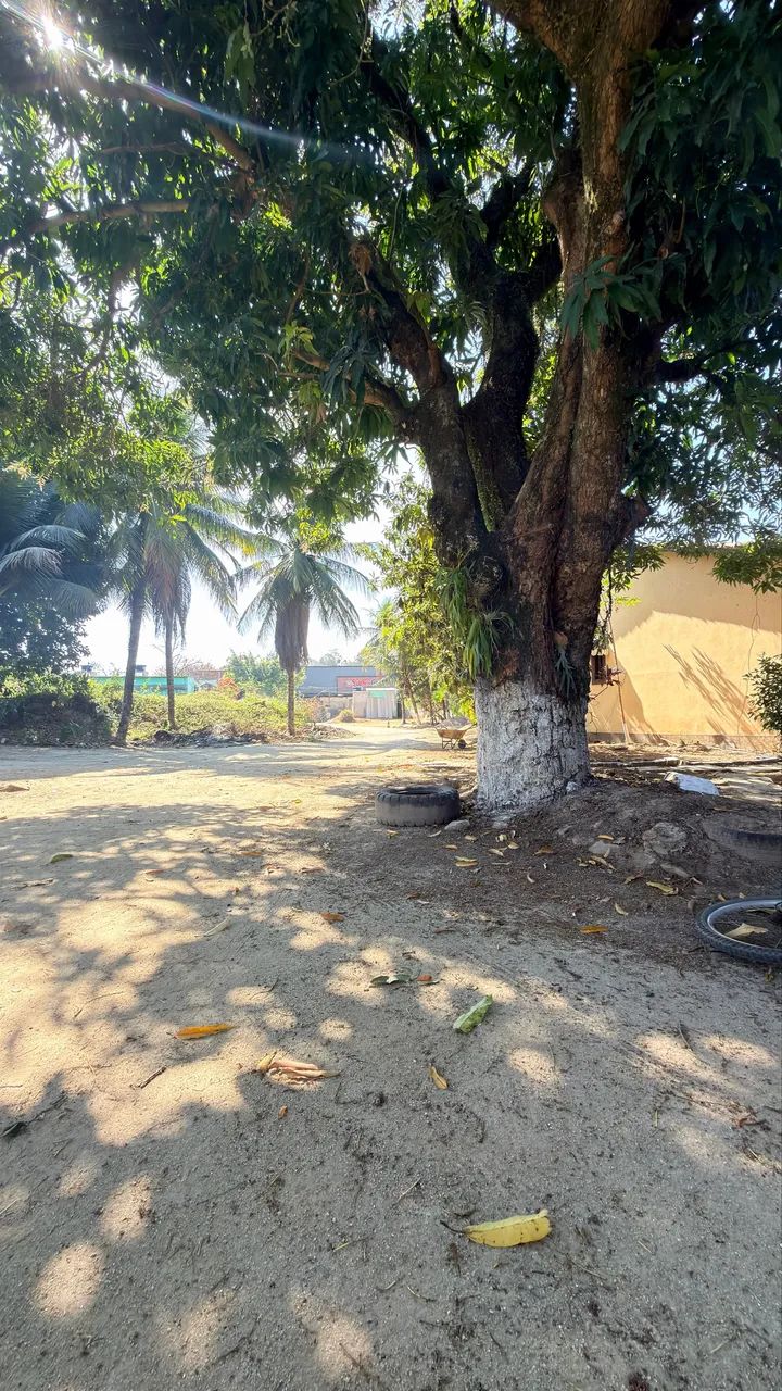 Vendo sitio Campo Grande moinho  - Foto 4