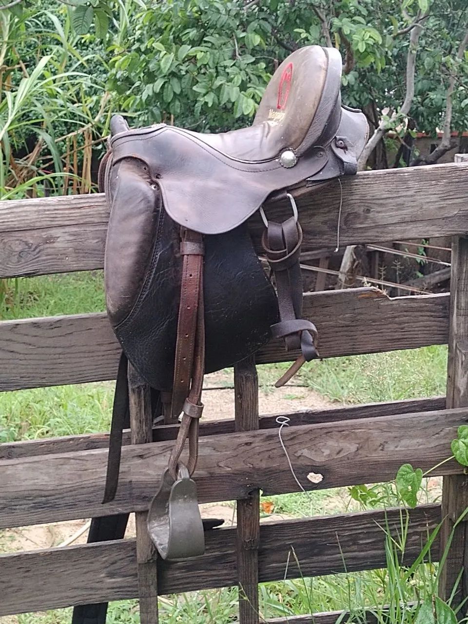 Sela de pista  - Foto 2