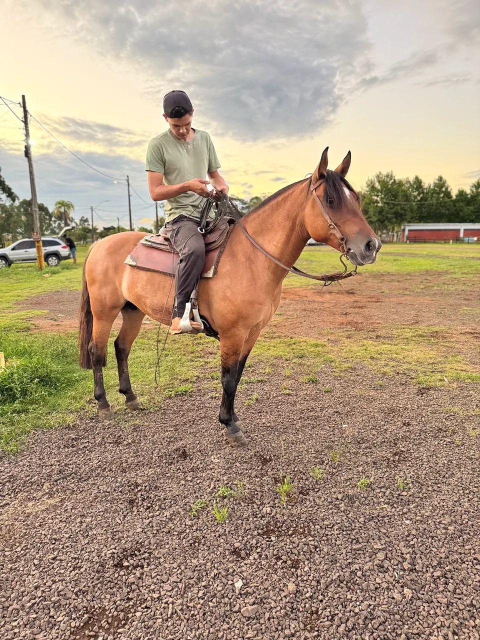 Das Gateadas mais Lindas e craques do Brasil!