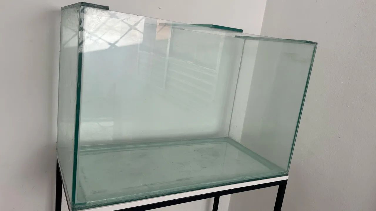 Aquario 