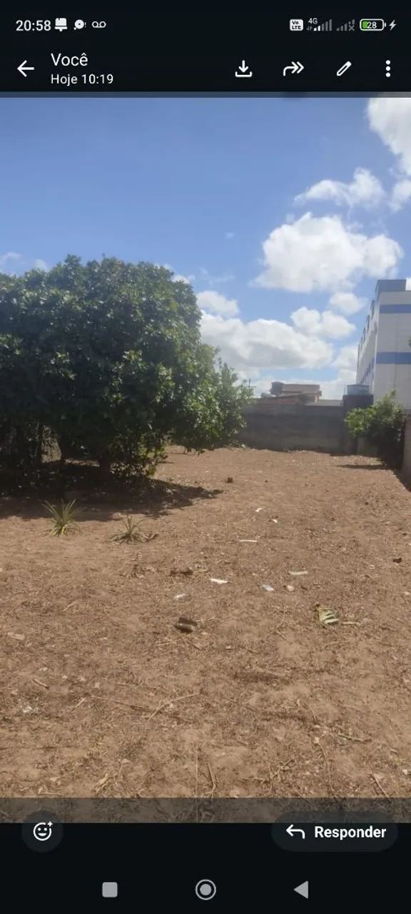 Terreno fragamaia  - Foto 2