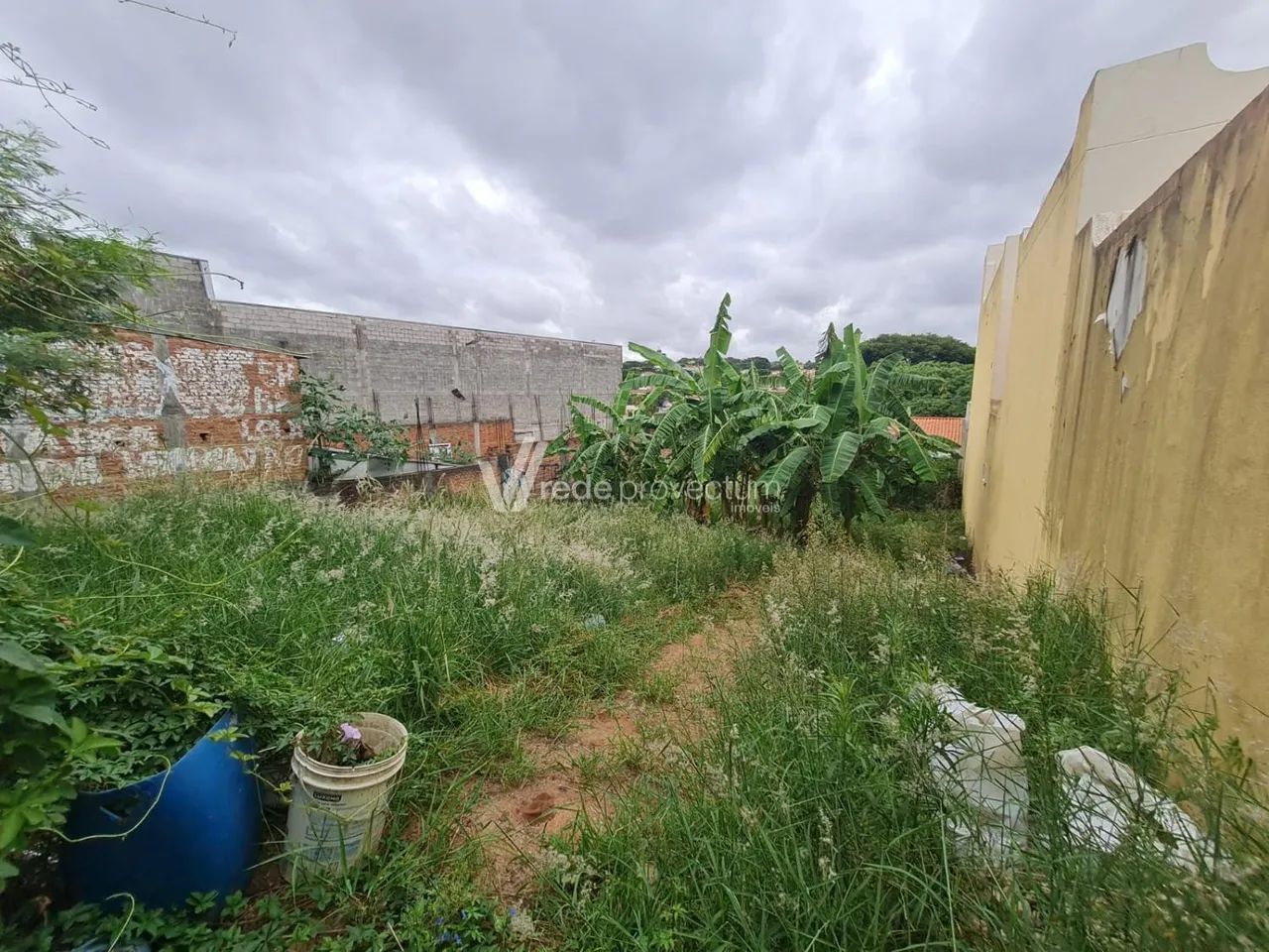 terreno - Parque São Quirino - Campinas - Foto 3