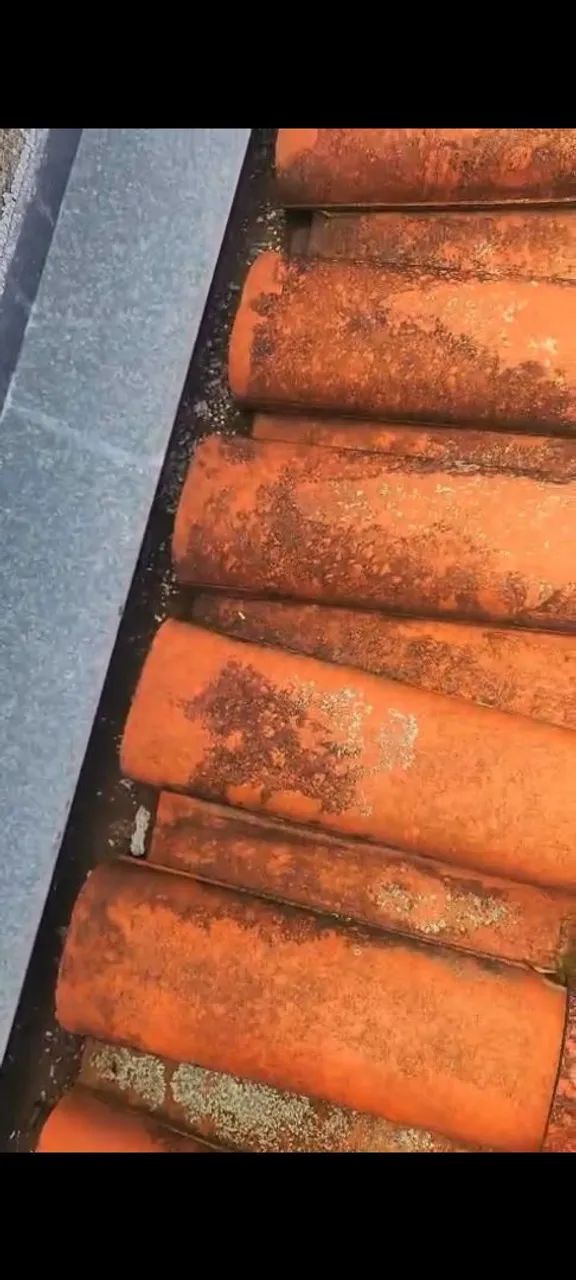 DOAÇÃO DE TELHAS COLONIAL USADA - Foto 2