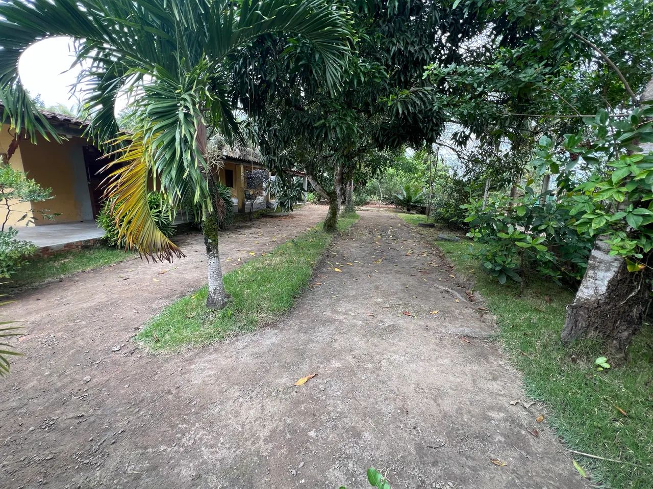 Vendo chácara em Flexeiras  - Foto 5