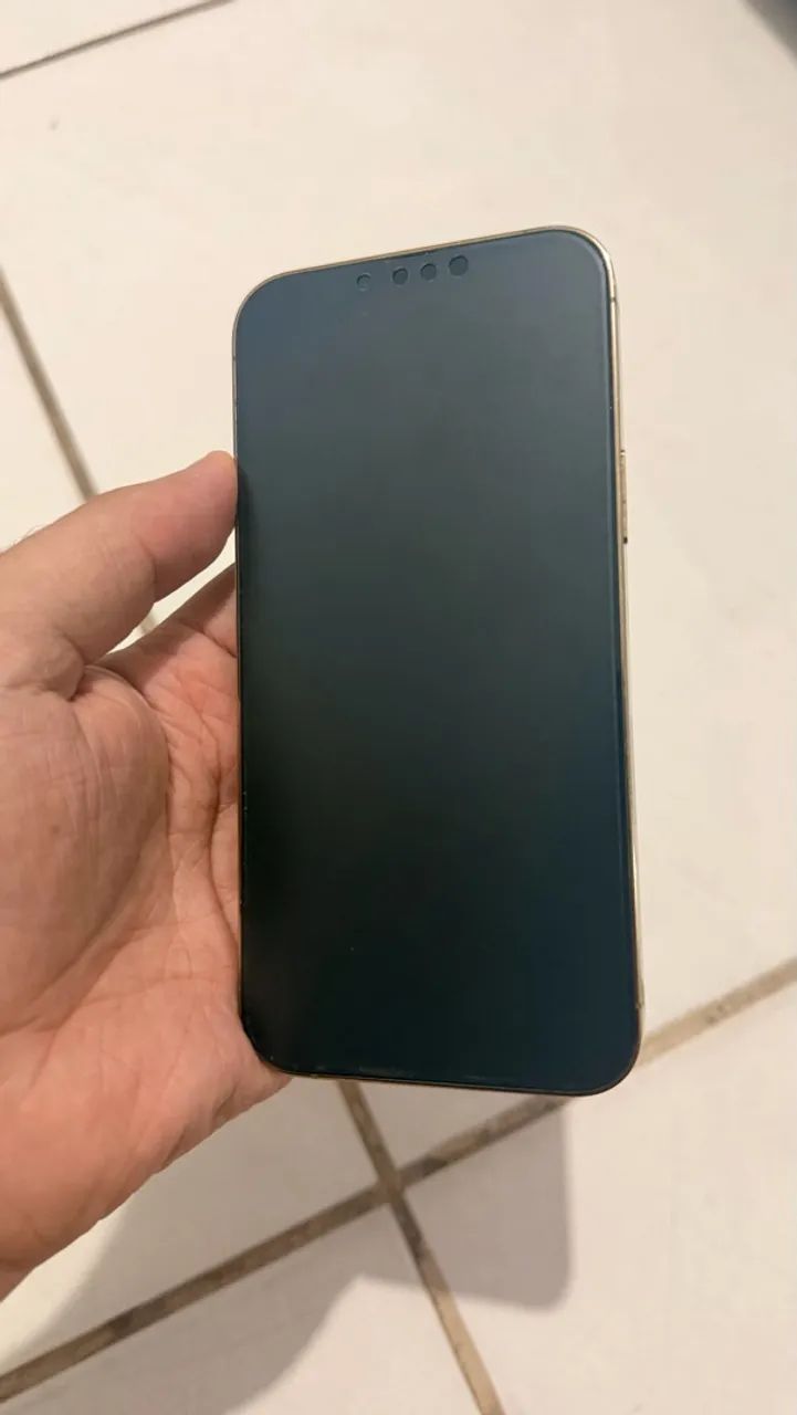 Iphone 13 Pro Max 128gb 