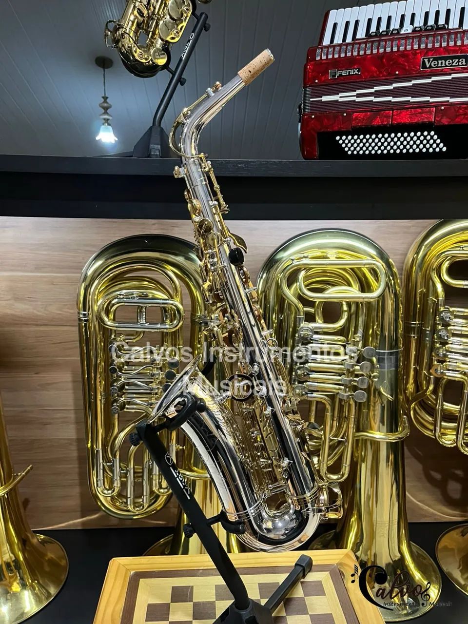 Sax Alto Tokai TSA200PG Mib - Instrumentos musicais - Nazaré