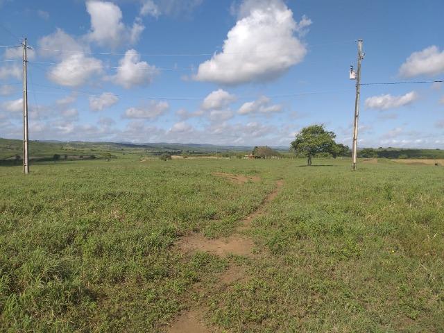 Propriedade de 8 hectares-toda cercada-com 2 casas, a 5 km de Apoti-PE - Foto 10