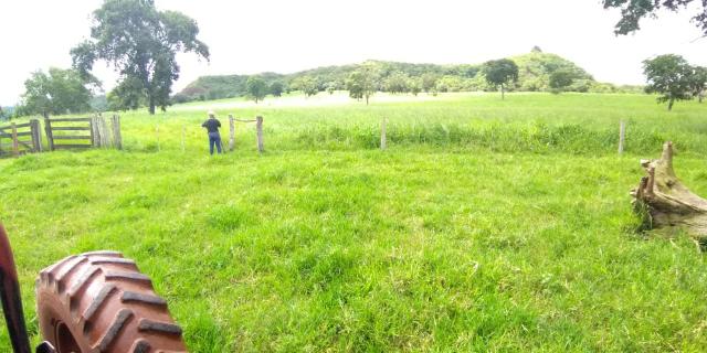 Fazenda em Guiratinga 680Hectares - Foto 20