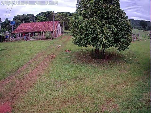 Fazenda em Guiratinga 680Hectares - Foto 6