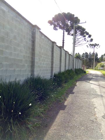 Chácara em São José dos Pinhais - Foto 2