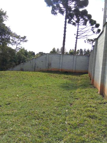 Chácara em São José dos Pinhais - Foto 3