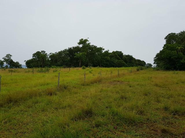 Fazenda c/ 357 alqueires em Porto Esperidião - Foto 11