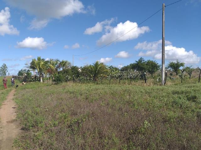 Propriedade de 8 hectares-toda cercada-com 2 casas, a 5 km de Apoti-PE - Foto 3