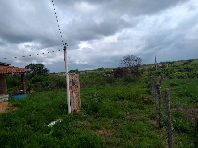 Granja BR 101 1 Hectare Arisco Paú Casa Sede Energia Elétrica Rio Maxaranguape 1km da BR - Foto 4