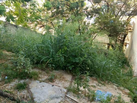 Loteamento/condomínio para alugar em Álvaro camargos, Belo horizonte cod:20535 - Foto 13