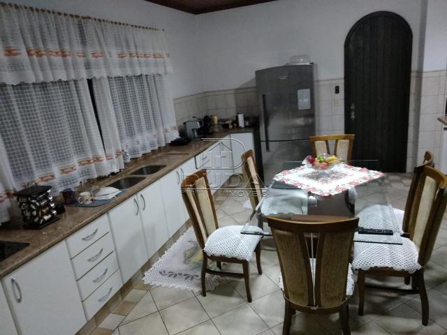 Casa à venda com 4 dormitórios em Mina do mato, Criciúma cod:24946 - Foto 7