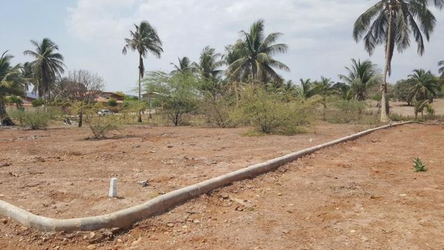 Lotes 250m² na Vila Presidente Vargas - Foto 2