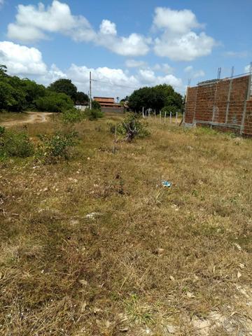 Terreno em Lucena PB . Pra vender logo!