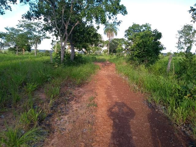Terra Região de Chapada dos Guimarães - Foto 17