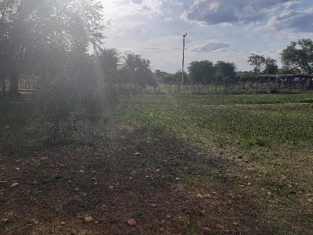 Vendo fazenda ou troco - Foto 7