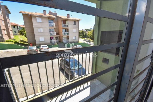 Apartamento para alugar com 3 dormitórios em Pinheirinho, Curitiba cod:10151001 - Foto 4