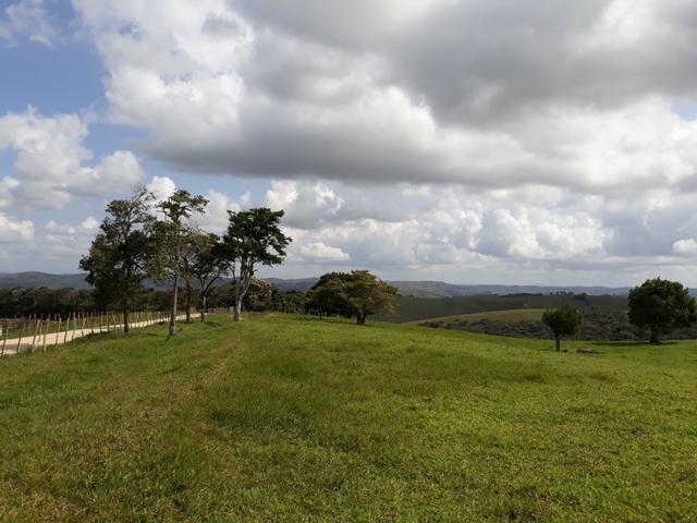 Vendo uma das melhores propriedade união dos Palmares - Foto 9