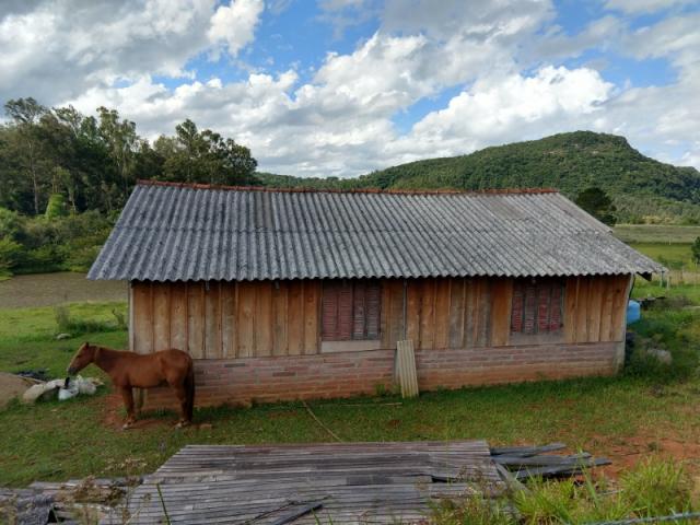Chácara 5.000 m² - lomba grande - novo hamburgo - rs - Foto 3
