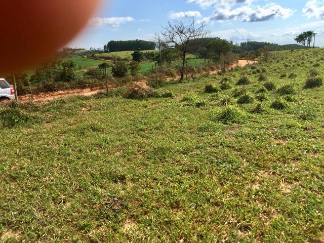 Fazenda em bambui 440 hectares 3.000.000.00 - Foto 13