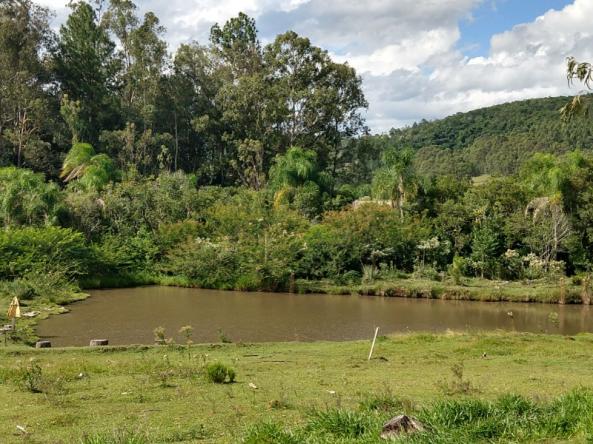 Chácara 5.000 m² - lomba grande - novo hamburgo - rs - Foto 9