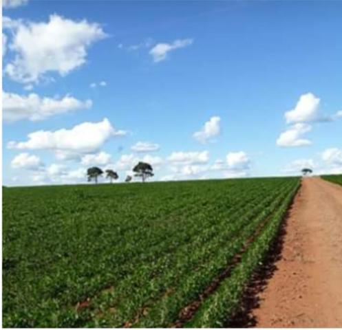 Chácara próxima da cidade de Entre Rios do Oeste PR Troco por casa ou sobrado