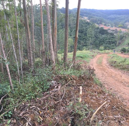 Terreno/Cachoeira - Foto 13