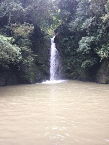 Terreno/Cachoeira - Foto 9